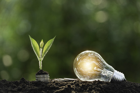 Light bulb and plant | Property Checks