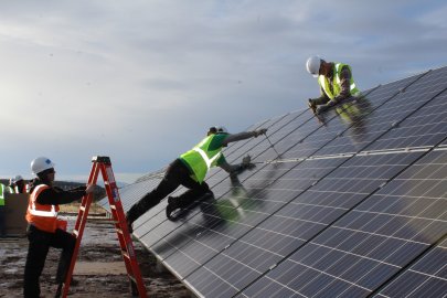 Workers checking solar panels | Property Checks